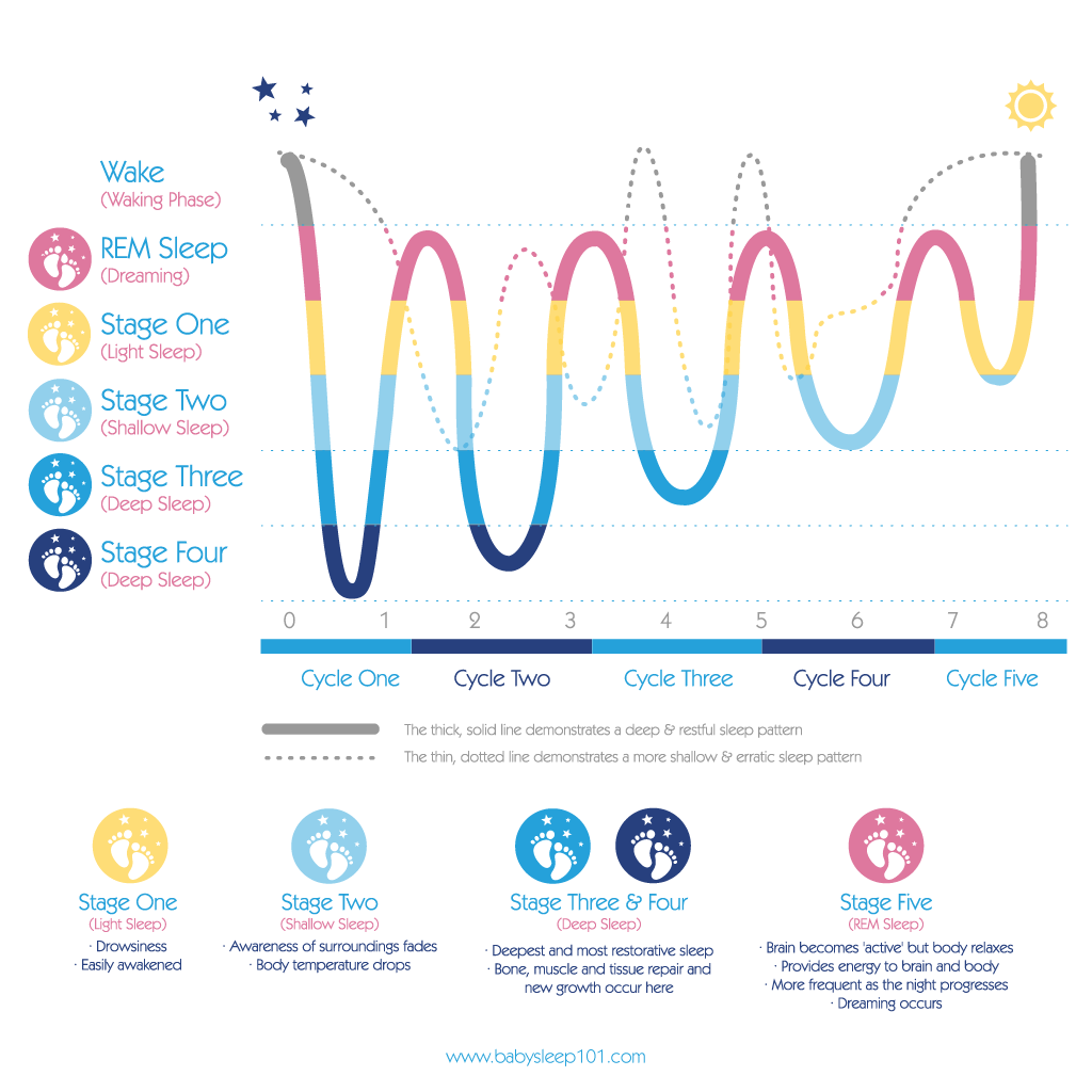 When Are Baby Sleep Cycles Developed?